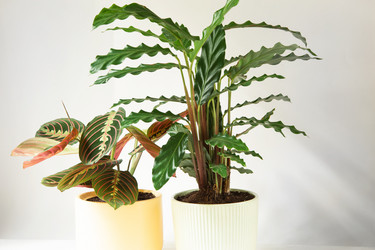 Similar image 20990914