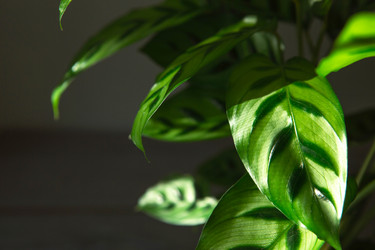 Similar image 20990936