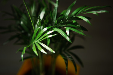 Similar image 20990951