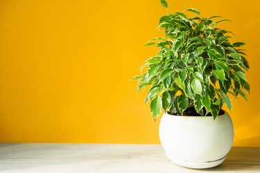 Similar image 20991383