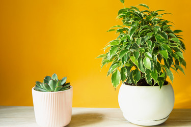 Similar image 20991384