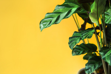 Similar image 20991385