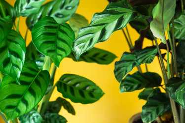 Similar image 20991387