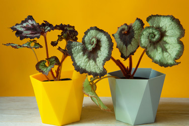 Similar image 20991391