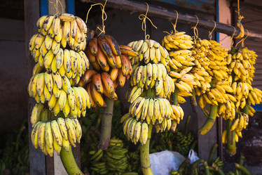 Similar image 20991405