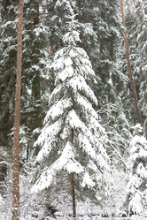 Similar image 20994594