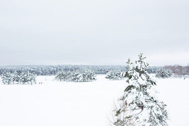 Similar image 20991000