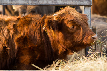 Similar image 20991024