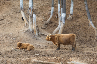 Similar image 20991025