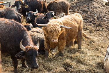 Similar image 20991026