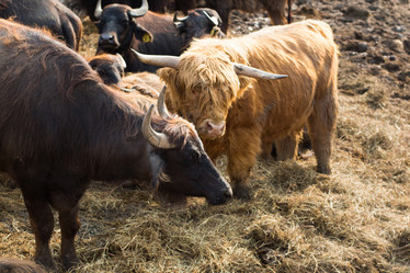 Similar image 20991027