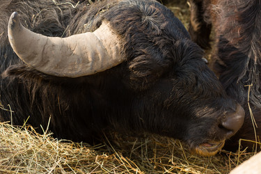 Similar image 20991028