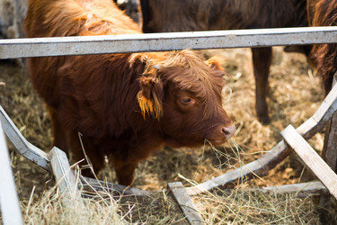 Similar image 20991029