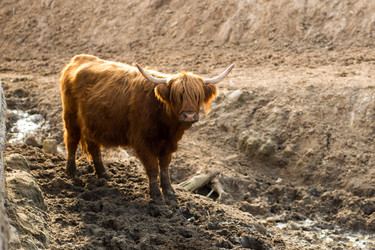 Similar image 20991030