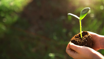 Similar image 20991184