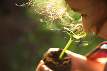 Similar image 20991434