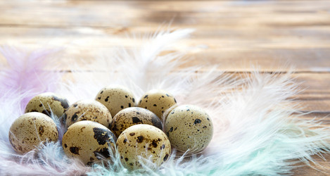 Similar image 20991446