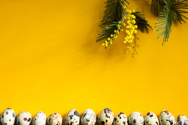 Similar image 20994375