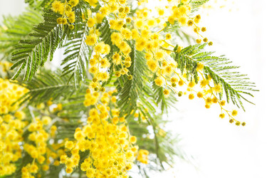 Similar image 20991451