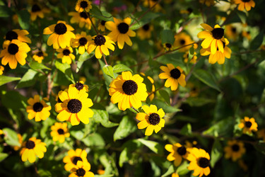 Similar image 20991075