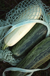 Similar image 20991511