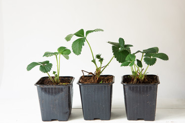 Similar image 20991512