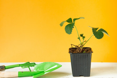 Similar image 20994424