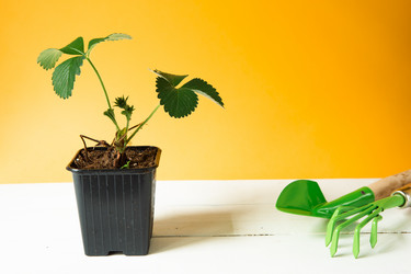 Similar image 20991513