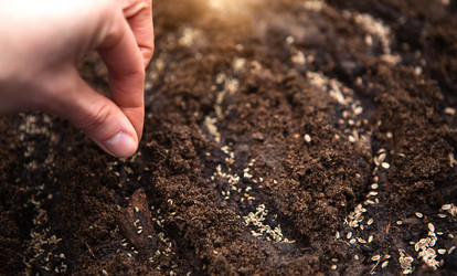 Similar image 20991517