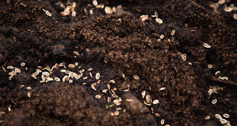 Similar image 20994432