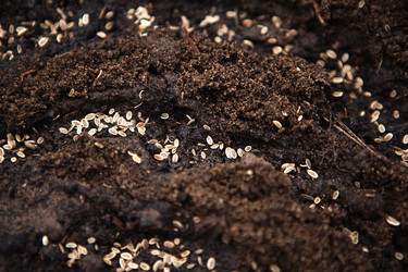 Similar image 20991518