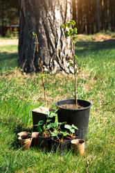 Similar image 20991519