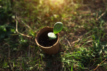 Similar image 20991523