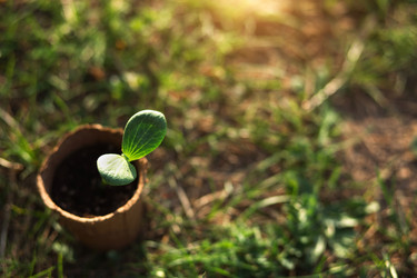 Similar image 20994596