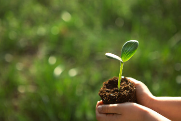 Similar image 20994597