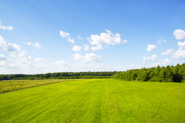 Similar image 20991527