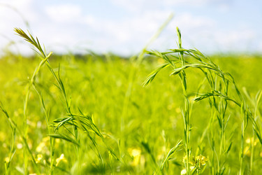 Similar image 20994599