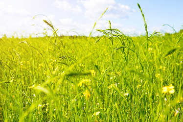 Similar image 20991528