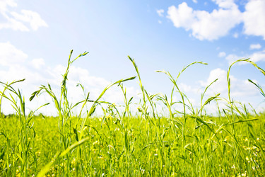 Similar image 20994600