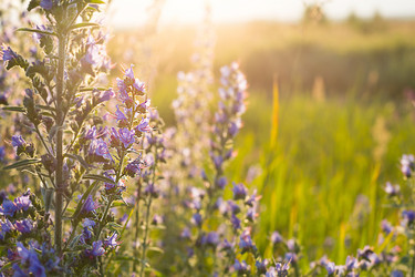 Similar image 20991531