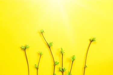 Similar image 20991101