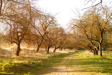 Similar image 20982326