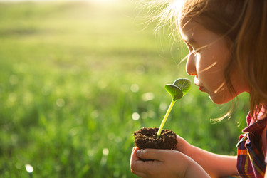 Similar image 20994134