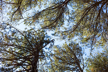 Similar image 20991240