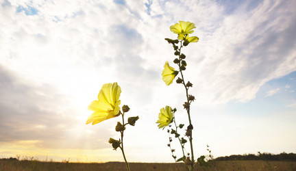 Similar image 20982748