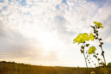 Similar image 20991244