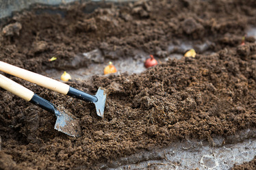 Similar image 20991247