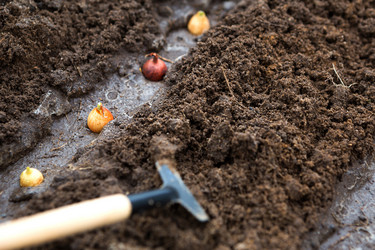 Similar image 20991248