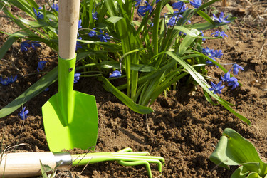 Similar image 20984238