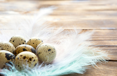 Similar image 20991254